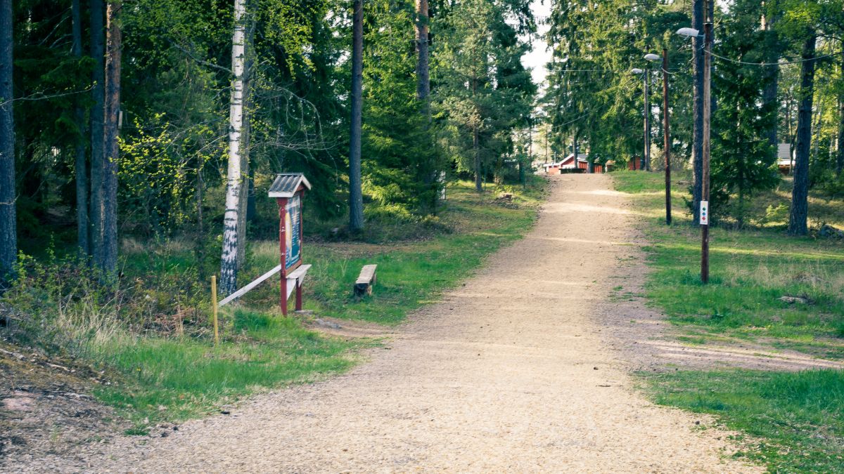 image: Skogsarbeten i Åbysäcken v 13-14